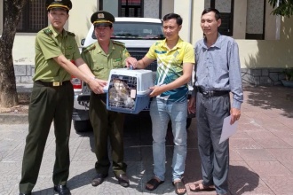 Phong Nha - Kẻ Bàng tiếp nhận nhiều cá thể động vật hoang dã nguy cấp, quý, hiếm để cứu hộ